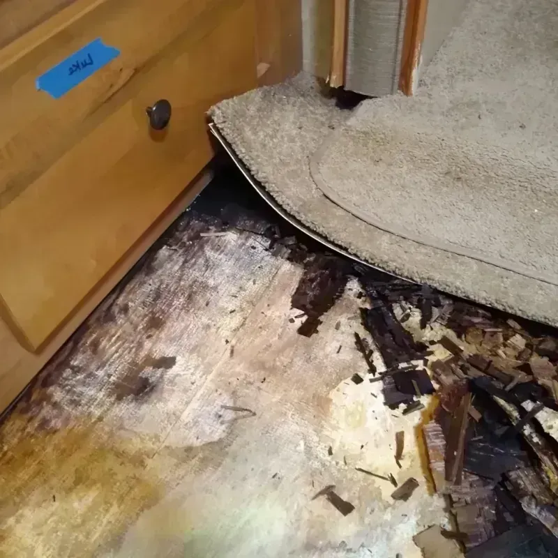 Wood Floor Water Damage in Chicago Ridge, IL